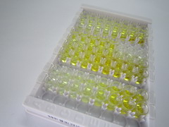骨骼肌快肌肌钙蛋白I(TNNI2)检测试剂盒(酶联免疫吸附试验法)