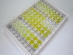 心肌肌钙蛋白T(TNNT2)检测试剂盒(酶联免疫吸附试验法)