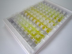 心肌肌钙蛋白T(TNNT2)检测试剂盒(酶联免疫吸附试验法)