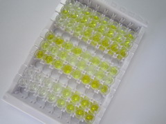 心肌肌钙蛋白T(TNNT2)检测试剂盒(酶联免疫吸附试验法)