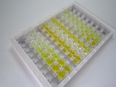 失调蛋白10(ATXN10)检测试剂盒(酶联免疫吸附试验法)
