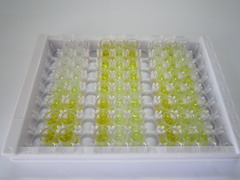 失调蛋白10(ATXN10)检测试剂盒(酶联免疫吸附试验法)