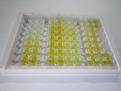 细胞色素C氧化酶亚基Ⅱ(COX2)检测试剂盒(酶联免疫吸附试验法)