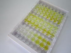 細(xì)胞色素C氧化酶亞基Ⅳ亞型1(COX4I1)檢測(cè)試劑盒(酶聯(lián)免疫吸附試驗(yàn)法)