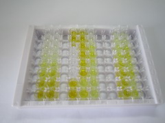 细胞色素P450家族成员2D6(CYP2D6)检测试剂盒(酶联免疫吸附试验法)