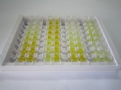 硫氧还蛋白还原酶2(TrxR2)检测试剂盒(酶联免疫吸附试验法)