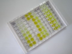 白細(xì)胞彈性蛋白酶抑制因子(LEI)檢測(cè)試劑盒(酶聯(lián)免疫吸附試驗(yàn)法)