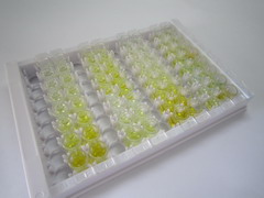 蛋白C抑制因子(PCI)檢測(cè)試劑盒(酶聯(lián)免疫吸附試驗(yàn)法)