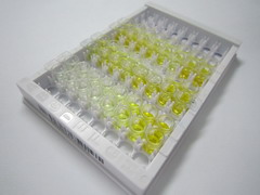 肌球蛋白重链4(MYH4)检测试剂盒(酶联免疫吸附试验法)