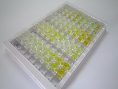 肌球蛋白重链7(MYH7)检测试剂盒(酶联免疫吸附试验法)