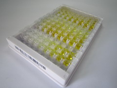 妊娠相关血浆蛋白A2(PAPPA2)检测试剂盒(酶联免疫吸附试验法)