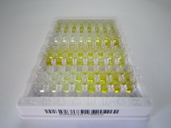 胰高血糖素样肽1受体(GLP1R)检测试剂盒(酶联免疫吸附试验法)