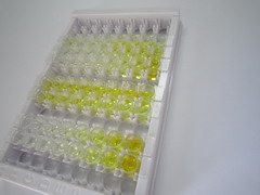 90kDa熱休克蛋白αB1(HSP90aB1)檢測試劑盒(酶聯(lián)免疫吸附試驗法)