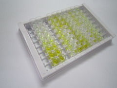 90kDa熱休克蛋白αB1(HSP90aB1)檢測試劑盒(酶聯(lián)免疫吸附試驗法)