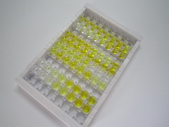 蛋白酪氨酸磷酸酶受体Q(PTPRQ)检测试剂盒(酶联免疫吸附试验法)