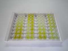 蛋白酪氨酸磷酸酶受体Z(PTPRZ)检测试剂盒(酶联免疫吸附试验法)