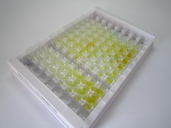 蛋白酪氨酸磷酸酶样蛋白A(PTPLA)检测试剂盒(酶联免疫吸附试验法)