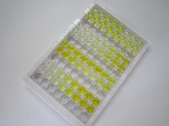 ATP结合盒转运蛋白C3(ABCC3)检测试剂盒(酶联免疫吸附试验法)