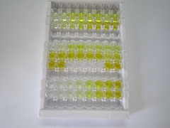 ATP结合盒转运蛋白C4(ABCC4)检测试剂盒(酶联免疫吸附试验法)