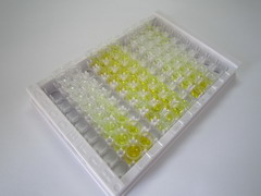 ATP结合盒转运蛋白B5(ABCB5)检测试剂盒(酶联免疫吸附试验法)