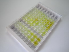 安定结合抑制因子(DBI)检测试剂盒(酶联免疫吸附试验法)