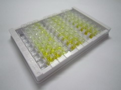 低密度脂蛋白受体相关蛋白4(LRP4)检测试剂盒(酶联免疫吸附试验法)