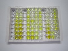 类胰蛋白酶β2(TPSb2)检测试剂盒(酶联免疫吸附试验法)