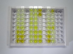 碱性唾液脯氨酸丰富蛋白1(PRB1)检测试剂盒(酶联免疫吸附试验法)