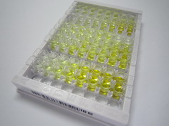 胰腺型磷脂酶A2(pPLA2)检测试剂盒(酶联免疫吸附试验法)