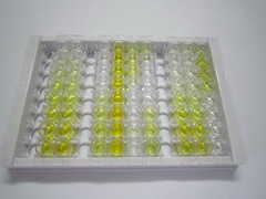 ⅡA组磷脂酶A2(PLA2G2A)检测试剂盒(酶联免疫吸附试验法)