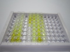ⅡA组磷脂酶A2(PLA2G2A)检测试剂盒(酶联免疫吸附试验法)