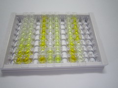Ⅹ组磷脂酶A2(PLA2G10)检测试剂盒(酶联免疫吸附试验法)