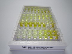 胰岛素样蛋白5(INSL5)检测试剂盒(酶联免疫吸附试验法)