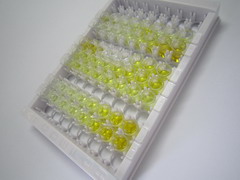 腫瘤壞死因子配體超家族成員9(TNFSF9)檢測試劑盒(酶聯(lián)免疫吸附試驗法)