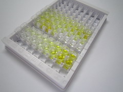 RAR相关孤儿素受体γ(RORg)检测试剂盒(酶联免疫吸附试验法)