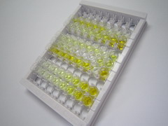 中性鞘磷脂酶激活关联因子(NSMAF)检测试剂盒(酶联免疫吸附试验法)