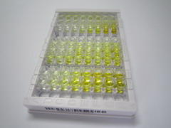 肝配蛋白A5(EFNA5)检测试剂盒(酶联免疫吸附试验法)