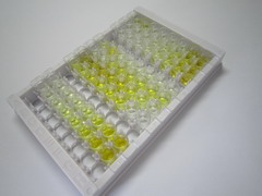 乳酸脱氢酶D(LDHD)检测试剂盒(酶联免疫吸附试验法)