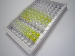 防御素β103A(DEFb103A)检测试剂盒(酶联免疫吸附试验法)