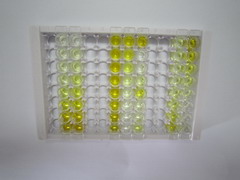 防御素α4(DEFa4)检测试剂盒(酶联免疫吸附试验法)