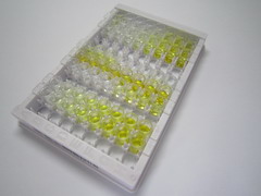 前蛋白转化酶枯草溶菌素9(PCSK9)检测试剂盒(酶联免疫吸附试验法)