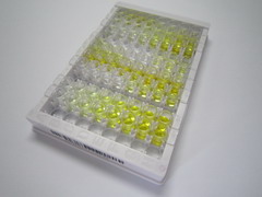 含杆状病毒IAP重复蛋白6(BIRC6)检测试剂盒(酶联免疫吸附试验法)