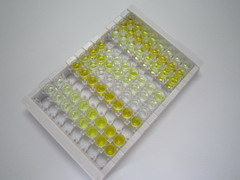 4-羥基苯丙酮酸雙加氧酶(HPD)檢測試劑盒(酶聯(lián)免疫吸附試驗法)