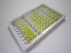 骨骼肌特异性受体酪氨酸激酶(MUSK)检测试剂盒(酶联免疫吸附试验法)