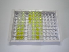 脾脏酪氨酸激酶(SYK)检测试剂盒(酶联免疫吸附试验法)