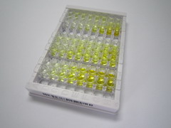 溶质载体家族1成员5(SLC1A5)检测试剂盒(酶联免疫吸附试验法)