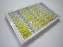 溶質載體家族30成員8(SLC30A8)檢測試劑盒(酶聯(lián)免疫吸附試驗法)