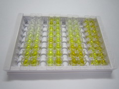 磷酸甘油酸变位酶1(PGAM1)检测试剂盒(酶联免疫吸附试验法)