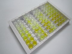 TATA框结合蛋白关联因子13(TAF13)检测试剂盒(酶联免疫吸附试验法)