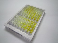 酶原颗粒膜糖蛋白(GP2)检测试剂盒(酶联免疫吸附试验法)